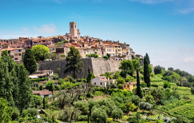 images/especes/sp_programs/items/11/template/image.png?v=1626209739-2081801317