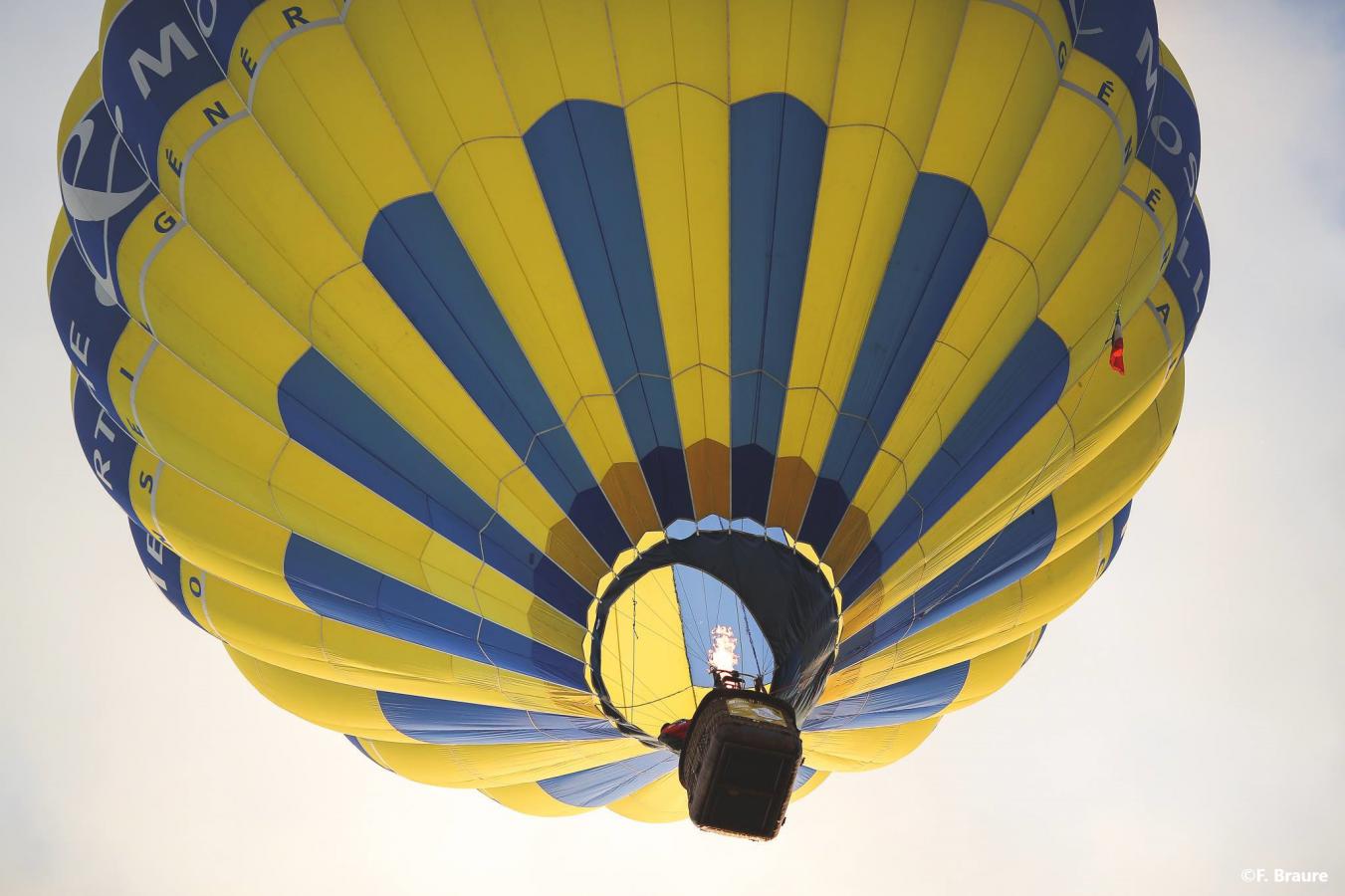 images/especes/sp_programs/items/16/template/image.jpg?v=1629122750-1895371351