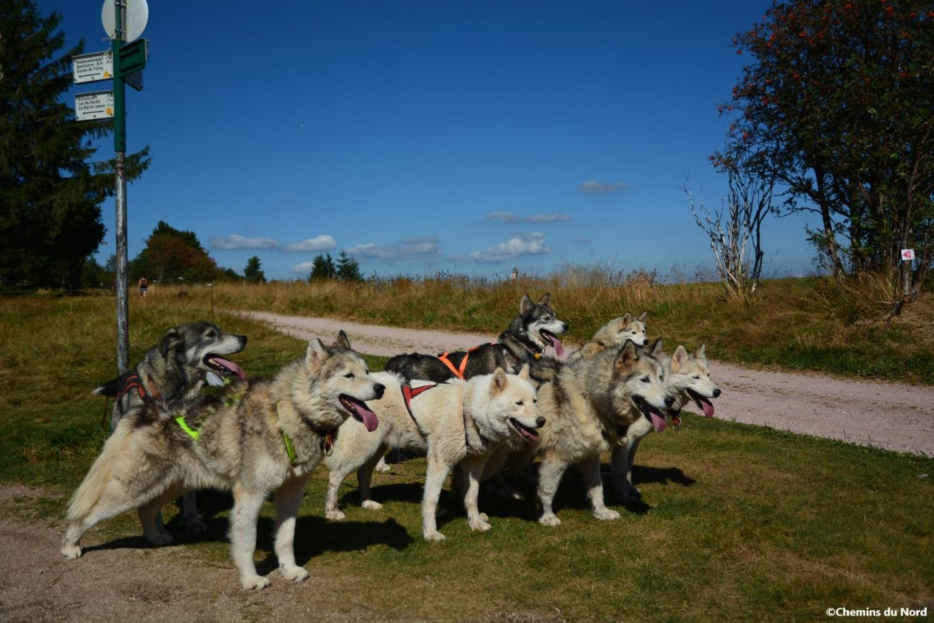 images/especes/sp_programs/items/18/template/image.jpg?v=1629122905-561012556