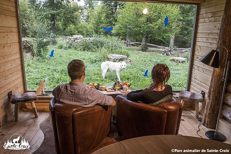 images/especes/sp_programs/items/20/template/image.jpg?v=1629123111-1212806502