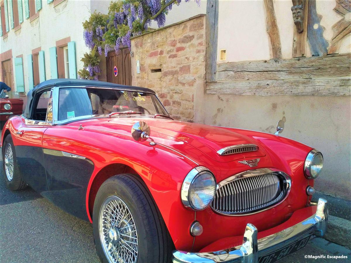 images/especes/sp_programs/items/21/template/image.jpg?v=1629123151-2053834404