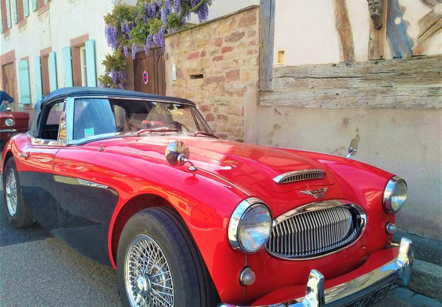 images/especes/sp_programs/items/46/template/image.jpg?v=1637605956-2093740332