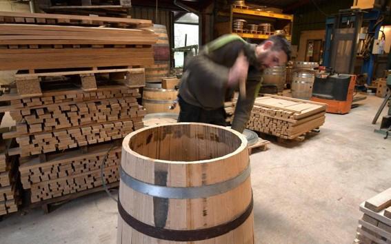 images/especes/sp_programs/items/49/template/image.jpg?v=1637606337-2140961368